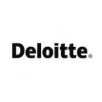 Comité de expertos de Deloitte